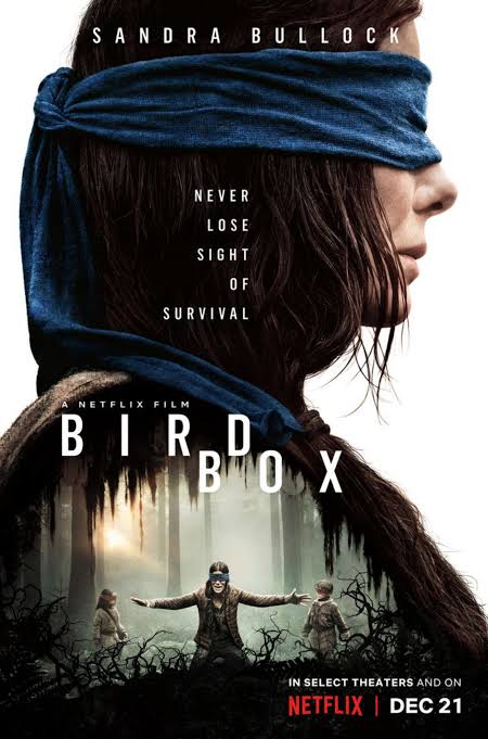 BIRD BOX
